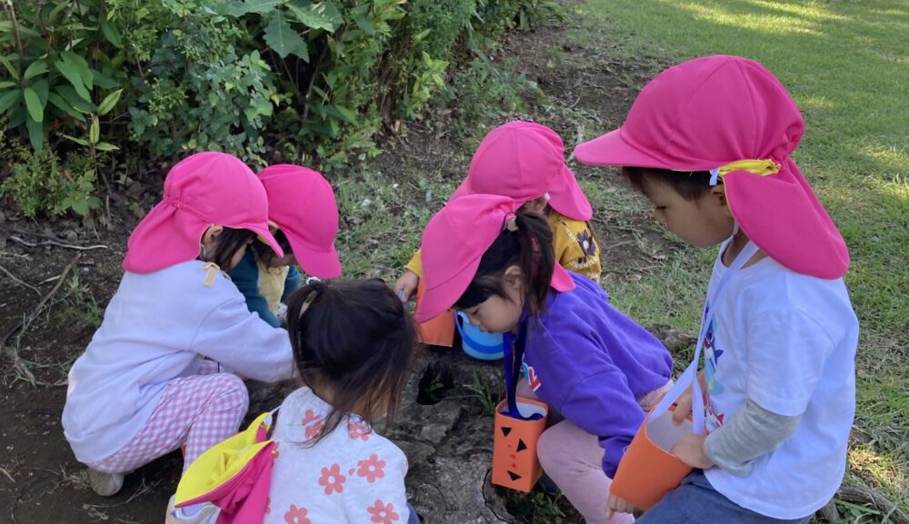 【鵠沼橘園】明日はハロウィン