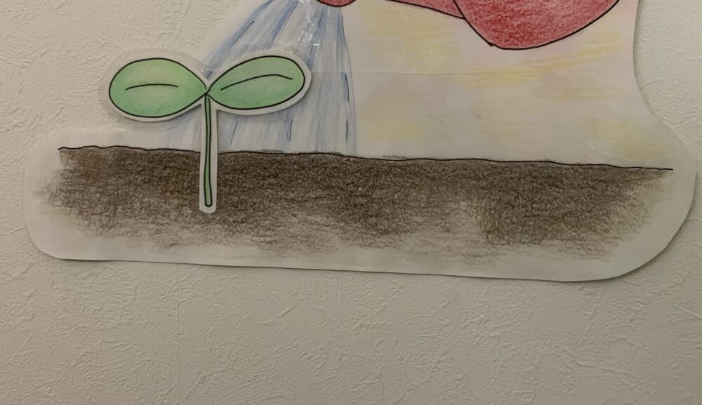 【鵠沼橘園】ひまわりのたね